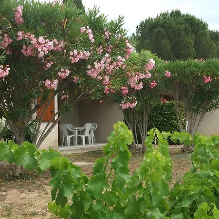 Espace Loisirs Saint-Martin-d'Ardeche
