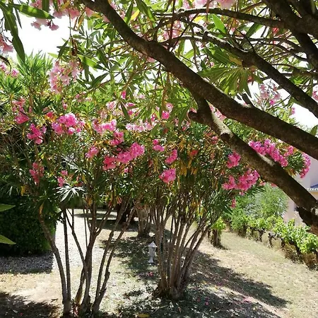 Espace Loisirs Holiday park Saint-Martin-d'Ardeche